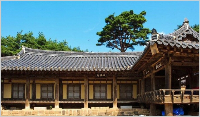 pu003.jpg